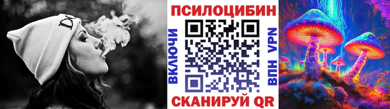 Галлюциногенные грибы Psilocybe  Тетюши 